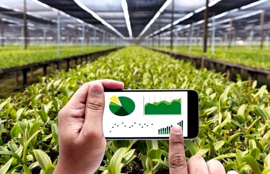 Agribusiness Management Online: Your Ultimate Guide